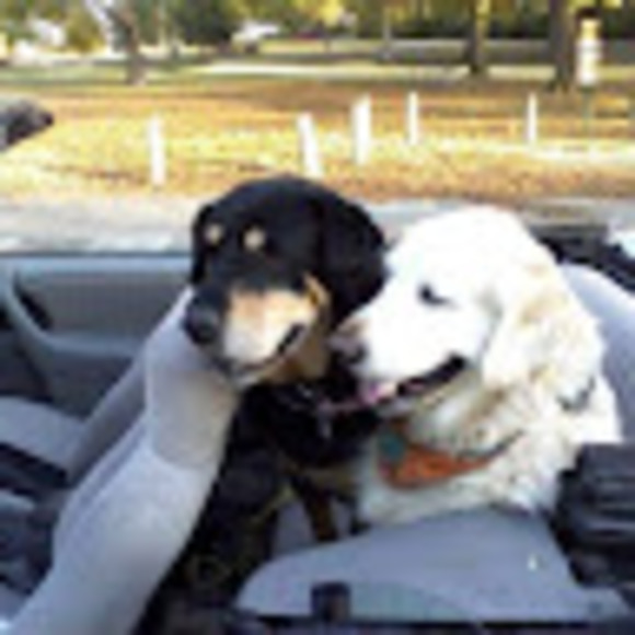 Meet your Posher, Jimmy - Picture 1 of 1